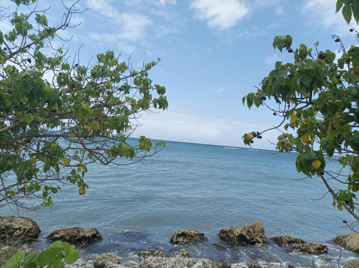 Kaz'Detente, Marie Galante, Plage Kawann Grand-Bourg  Exteriör bild
