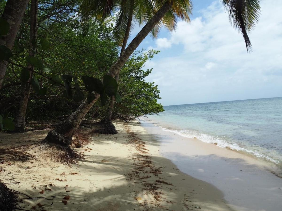 Kaz'Detente, Marie Galante, Plage Kawann Grand-Bourg  Exteriör bild